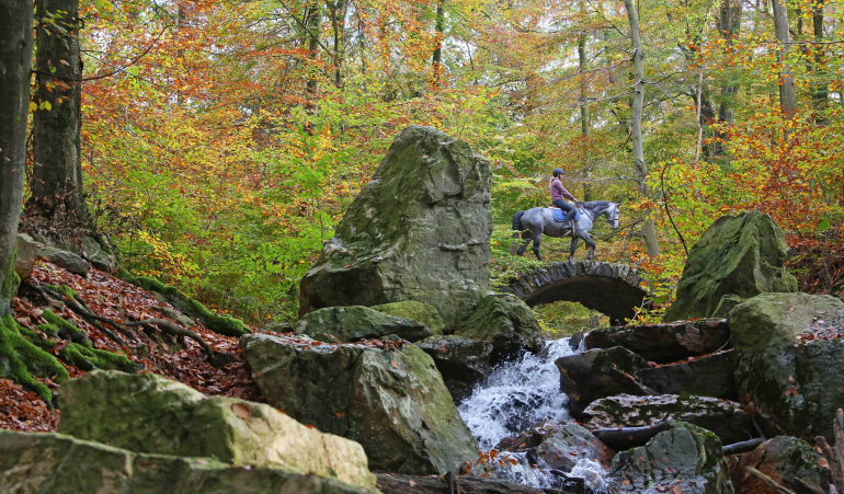 Horse riding in Wallonia (c) WBT - Arnaud Siquet