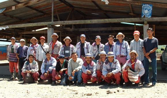 Groupe de Todos Santos - Coopérative Guayab au Guatemala