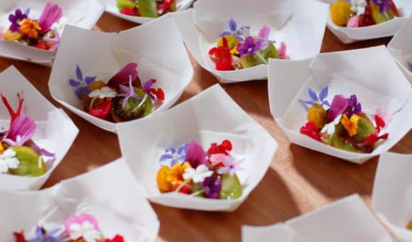 Edible verrine dishes and plates to combine ecology and design - Do Eat