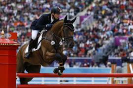 Bridging the obstacles for Belgian horses